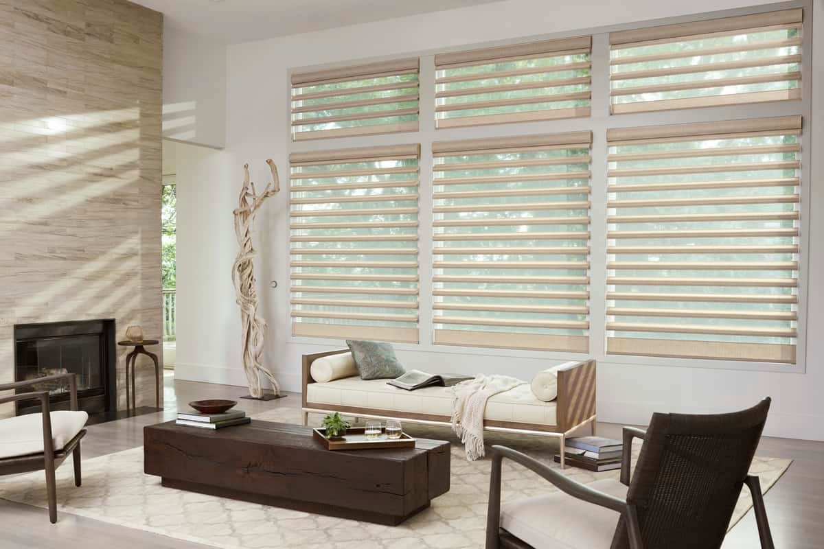 Pirouette® Window Shadings, Fort Mill, South Carolina (SC), from Hunter Douglas for living rooms.